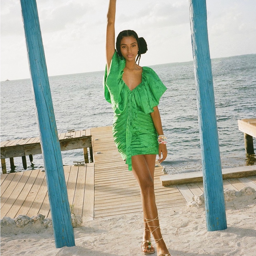 ronny kobo ruffled jacquard mini dress